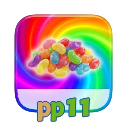 pp11